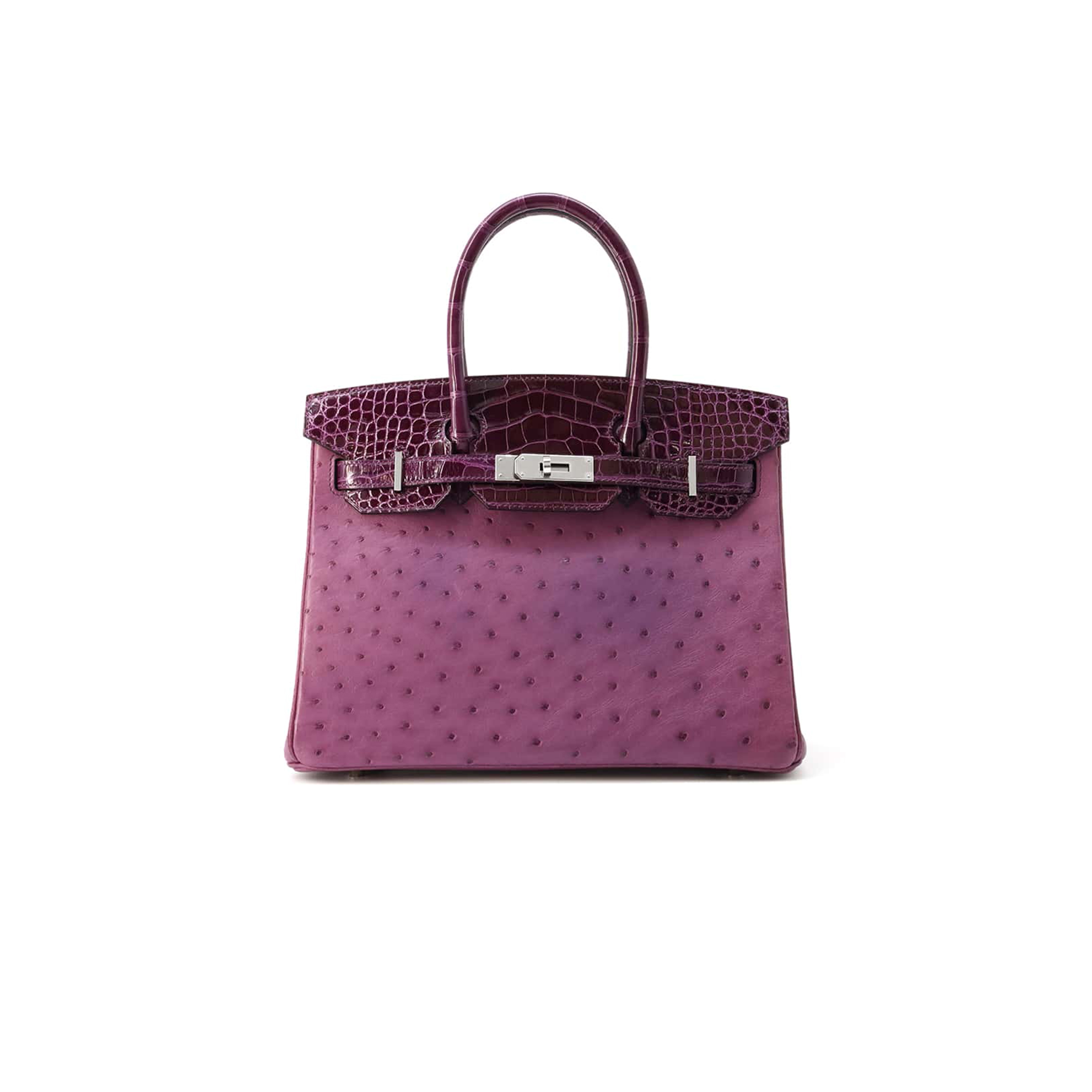 HERMÈS MASTER BIRKIN 30 OSTRICH AND CROCODILE LEATHER PALLADIUM HARDWARE H041933CK6N (30*22*16cm)